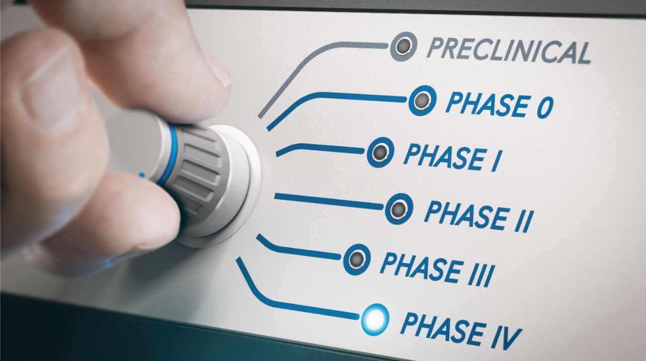 Phases of Drug Development Stock Photo